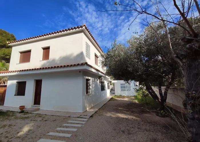 Oasis Calafat